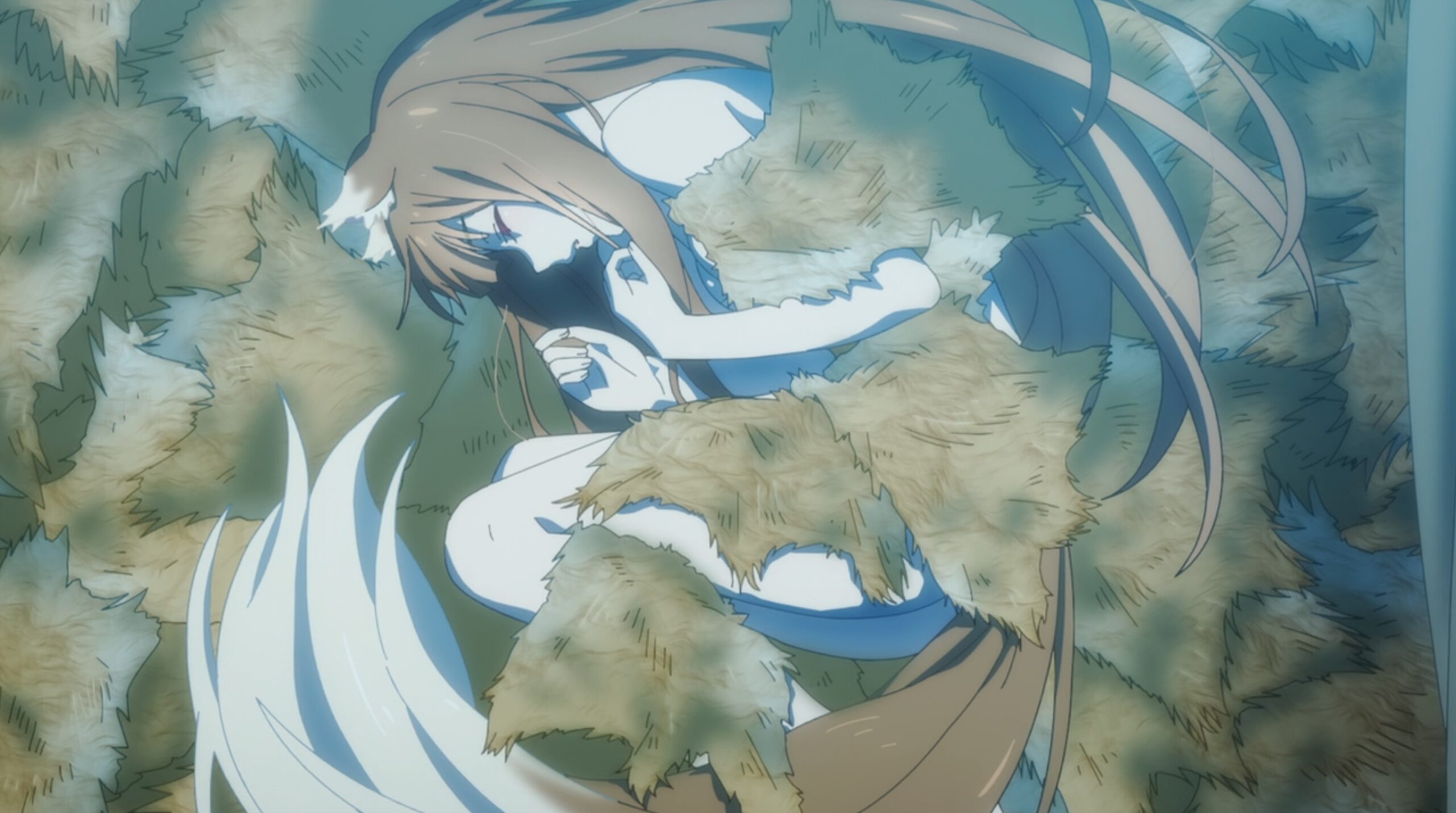 Spice and Wolf: MERCHANT MEETS THE WISE WOLF