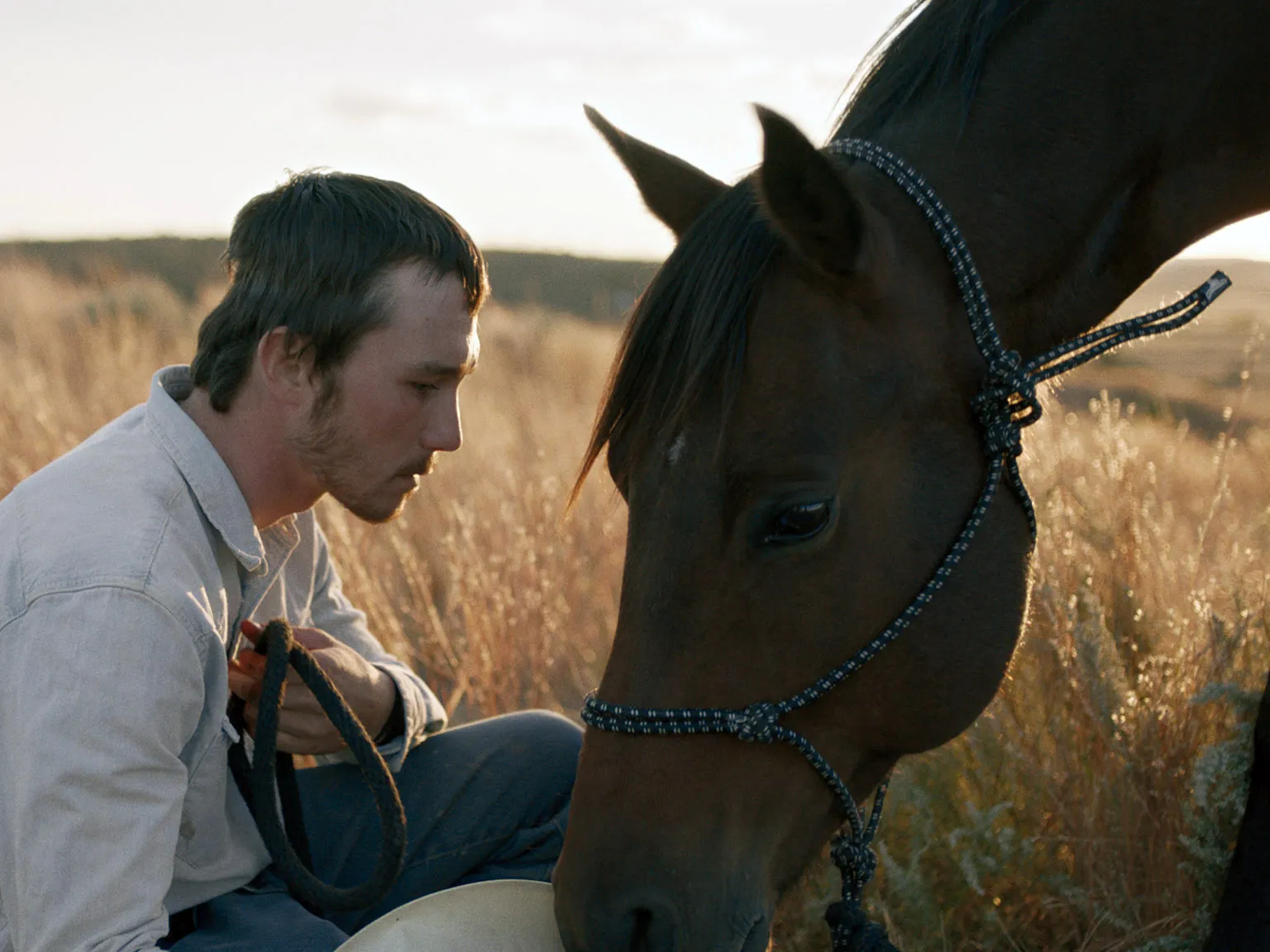 The Rider (2018)