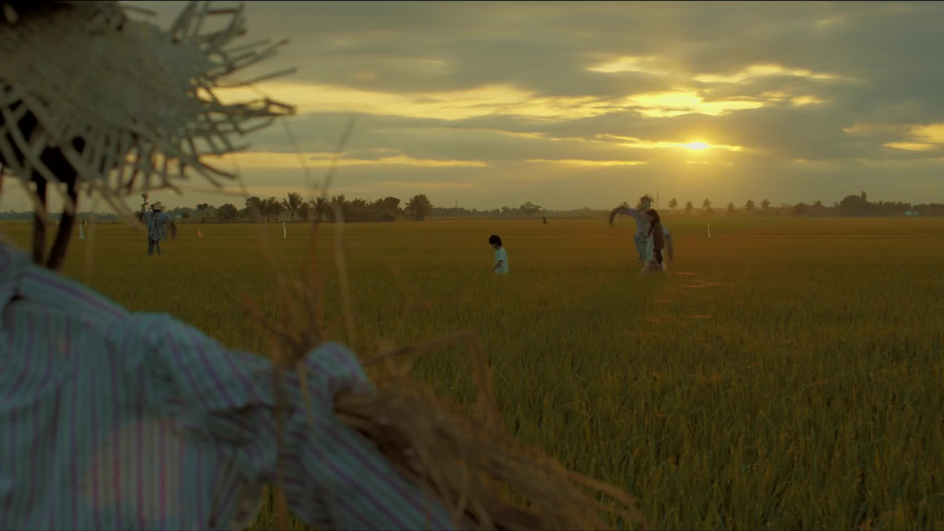 Scarecrow (2015)